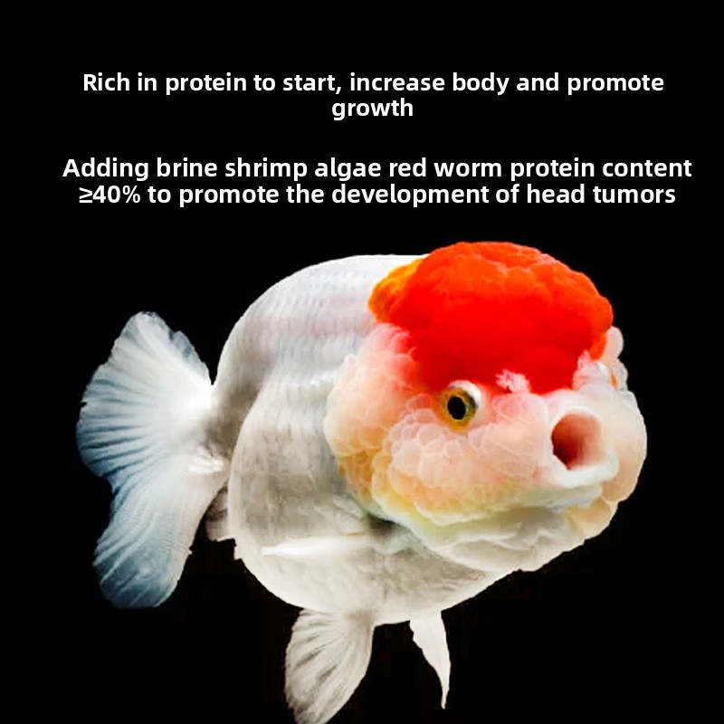 金魚の餌、ランチュとライオンヘッド用の沈下性フィッシュベイビ - Baby Food High In Protein のレビューと価格