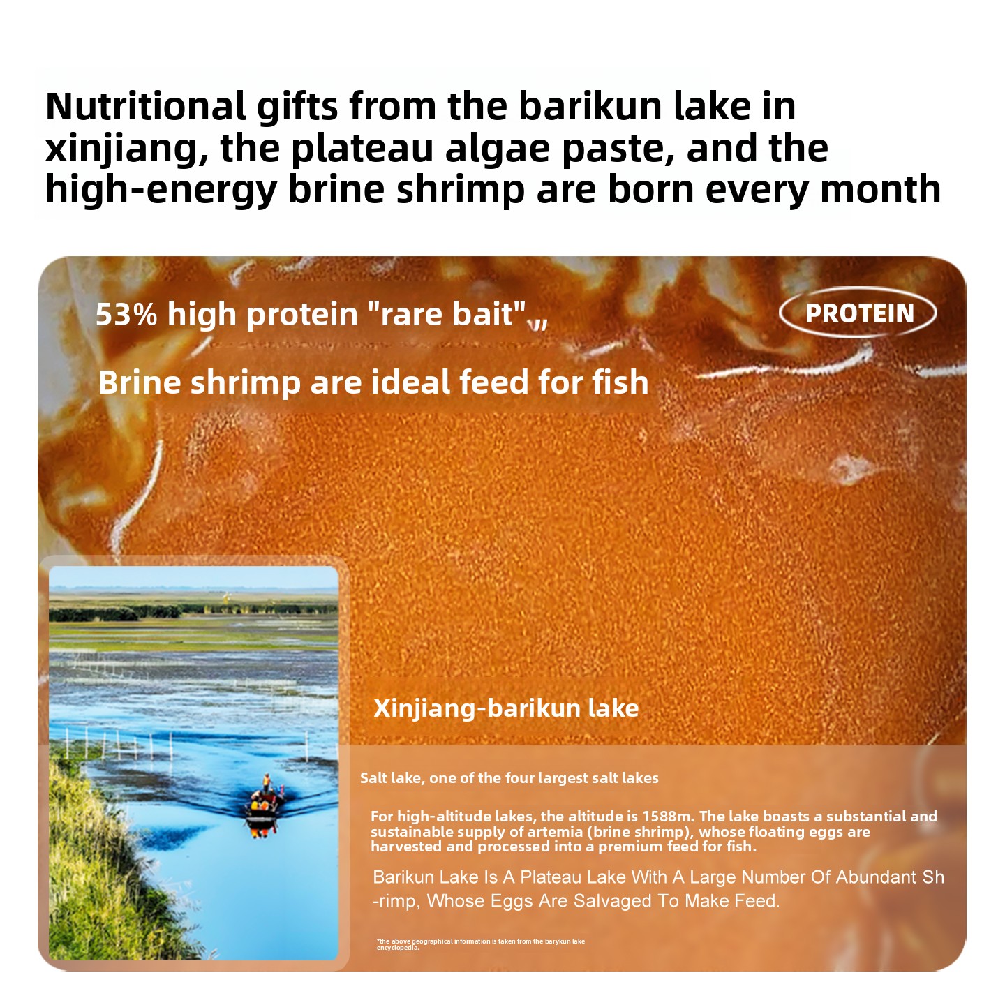 サンキ デカプセル化ブラインシュリンプ（アルテミア）、孵化不 - Baby Food High In Protein のレビューと価格